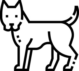 dogo argentino illustration on a white background 