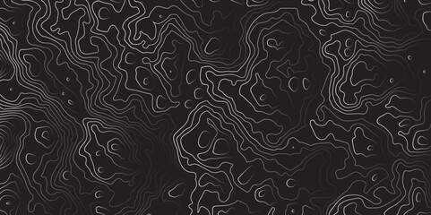 Mountain topographic terrain map background with white shape lines texture.Abstract line art background vector. Abstract line art background vector. Design illustration for wall art, fabric, packaging