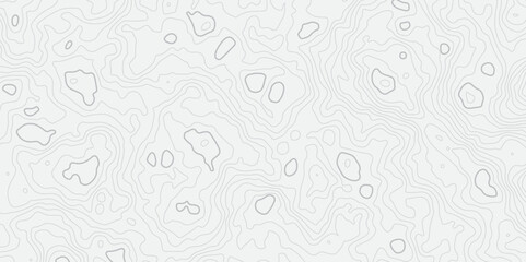 Abstract white topographic map background with lines, White wave paper curved reliefs abstract background,  The topographic map contour in lines isolated,  Background of the topography map.