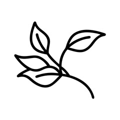 tea leaves branch on transparent background for web and graphic design