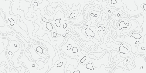 Abstract white topographic map background with lines, White wave paper curved reliefs abstract background,  The topographic map contour in lines isolated,  Background of the&nbsp;topography&nbsp;map.