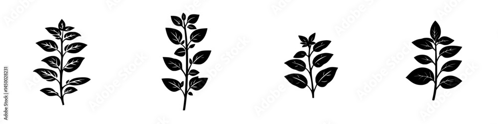 Poster different varieties of leaves showcasing unique shapes and patterns in a minimalist design
