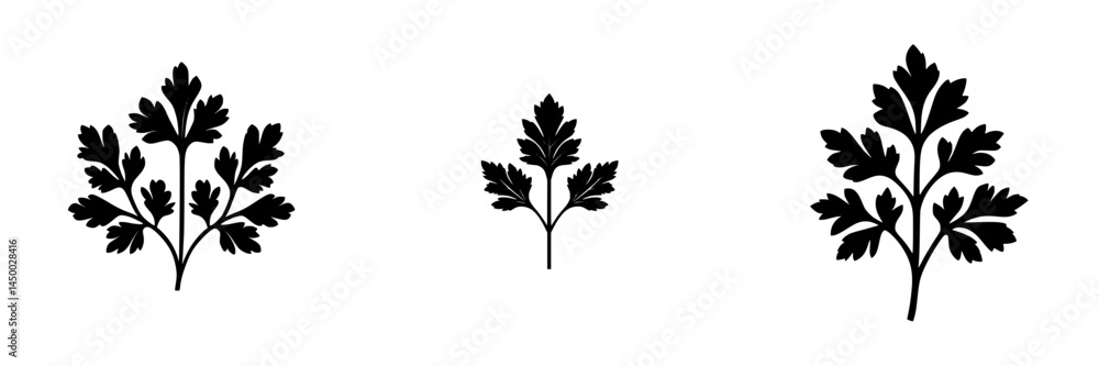 Poster different sizes of parsley leaves displayed in a minimalist style on a white background