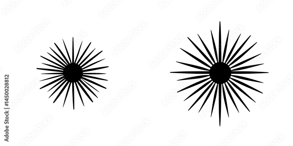 Poster starburst patterns created with black lines on a white background showcasing different sizes and sym
