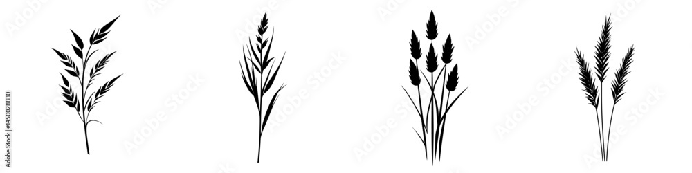 Poster silhouettes of various grass types displayed in a minimalistic style for botanical illustration or d