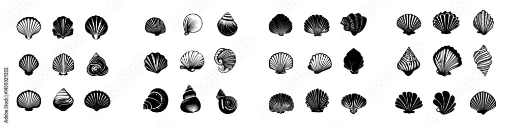 Poster various seashell designs in black and white showcasing intricate patterns and textures for artistic 