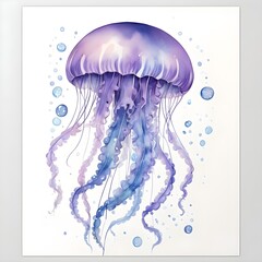 jellyfish on white background