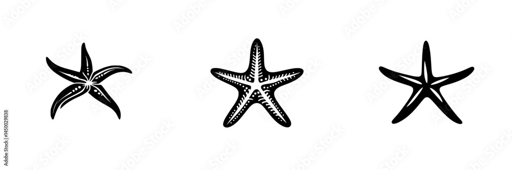 Poster unique starfish illustrations showcasing different patterns and styles on a white background