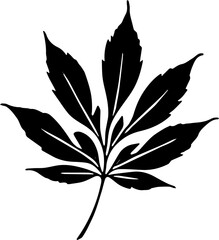 black silhouette of a leaf