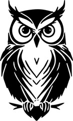 owl on white background