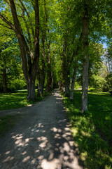 Fototapeta premium path in the park