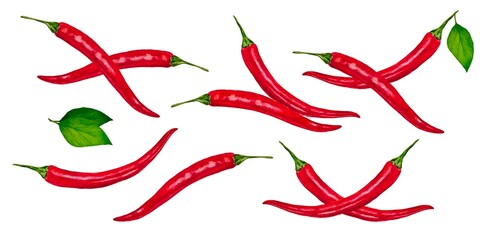Set isolated red chili peppers green leaves on white background. Watercolor style illustration, minimalistic design.