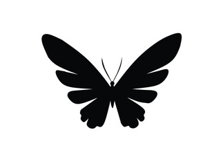 butterfly silhouette vector on white background 