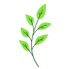 Leaf vector colorful on transparent background