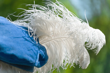 Close-up of blue renaissance hat adorned with white feather