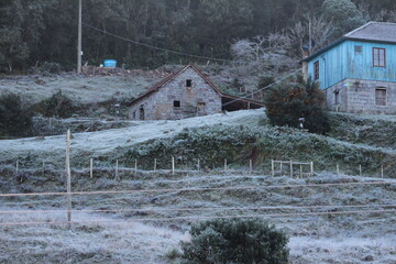 paisagem de amanhecer com geada na serra gaúcha. foto tirada no roteiro caminhos de pedra, bento...