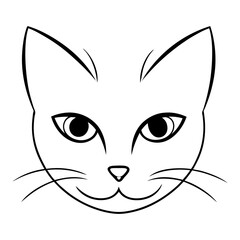 Close Up Cat Eyes and Whiskers Drawing