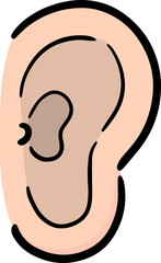 Illustration of ear
