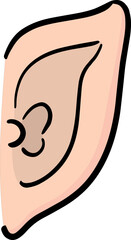 Illustration of ear
