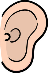 Illustration of ear
