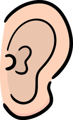 Illustration of ear
