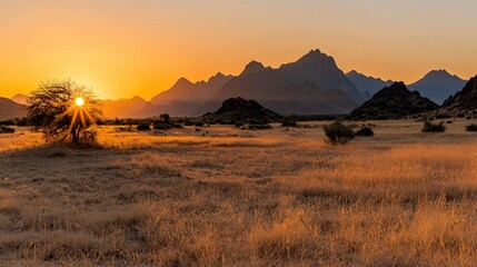 Fototapeta premium Golden sunset over a vast, dry savanna landscape.