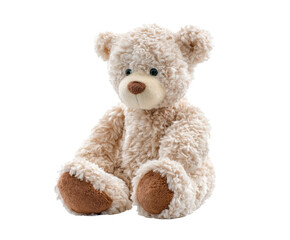 Obraz premium Cute plush teddy bear for children play and decor, cut out