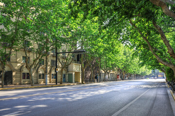 Fototapeta premium road in the city