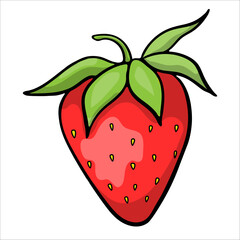 Red Ripe Drawn Strawberry On White Background