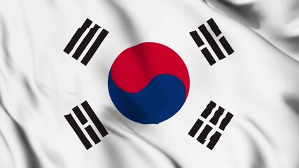 South Korea flag waving