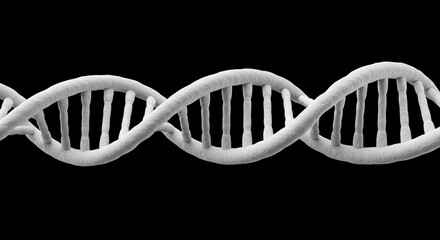 Monochrome DNA Strand on a Black Background for Scientific Visualization