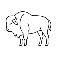 American Bison Line Art Vector
