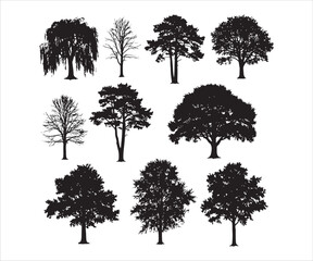 Fototapeta premium Detailed representations of multiple trees on a clean white canvas