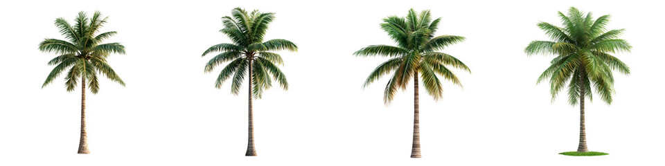Obraz premium Tropical palm trees in a peaceful beach scene