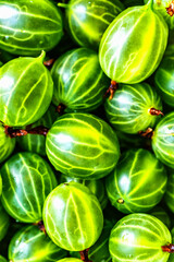 Green Organic Berries Gooseberries.Berries  gooseberry close-up. Background from gooseberries.Harvest concept. Vegetarian food.Top view,