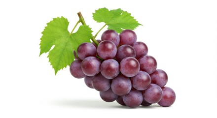 Fototapeta premium Purple grapes with green leaves
