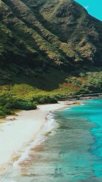 mountain river in the summer