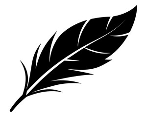 Obraz premium Feather Vector Design, Feather Silhouette SVG File