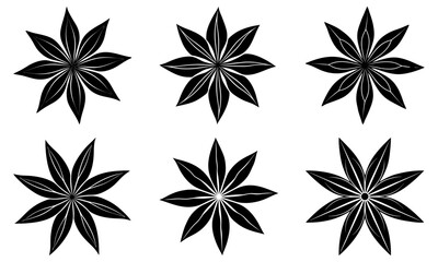 Obraz premium Anise silhouette vector