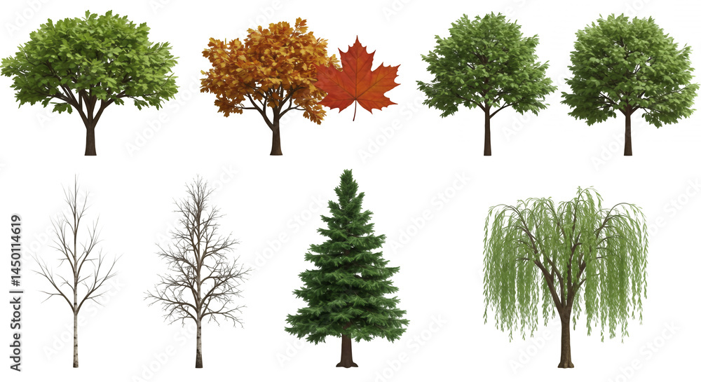 Aufkleber various trees displaying seasonal foliage isolated on transparent background depicting autumn winter