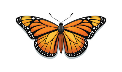 Fototapeta premium butterfly on white background