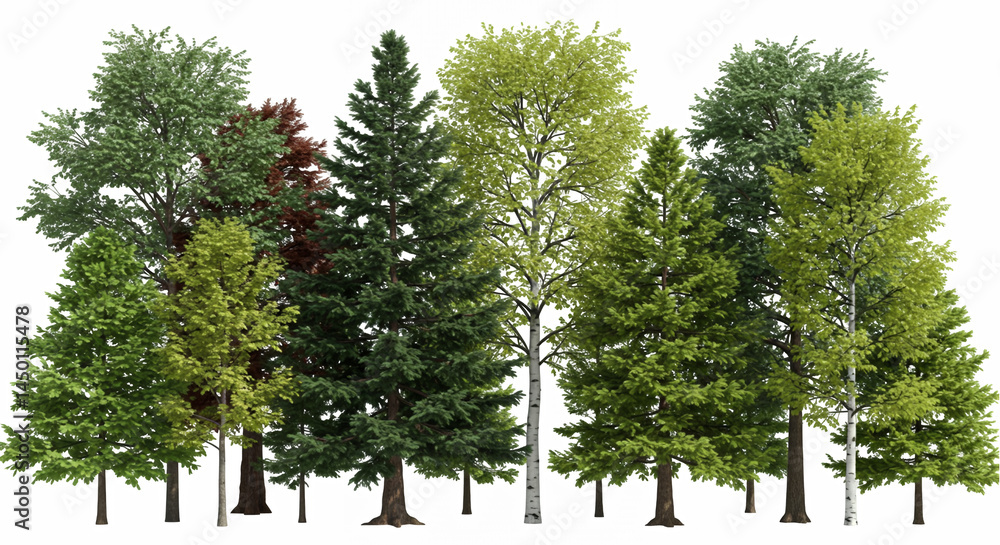 Poster dense forest of mixed green trees on transparent background with varied shapes and sizes ideal for l