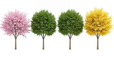 Row of Four Trees in Different Seasons on Transparent Background with Pink Green and Yellow Foliage