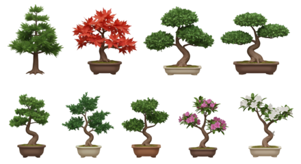 Collection of Miniature Bonsai Trees in Pots Isolated on Transparent Background Showcasing Various Styles and Colors of Green and Red Leaves