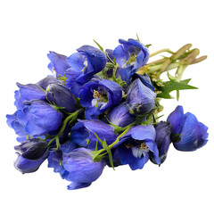 Naklejka premium Elegant Natural Bouquet of Monkshood Flowers on White Background
