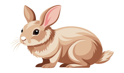 Fototapeta premium white rabbit isolated on white