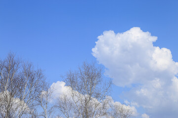 Blue sky with white clouds in spring