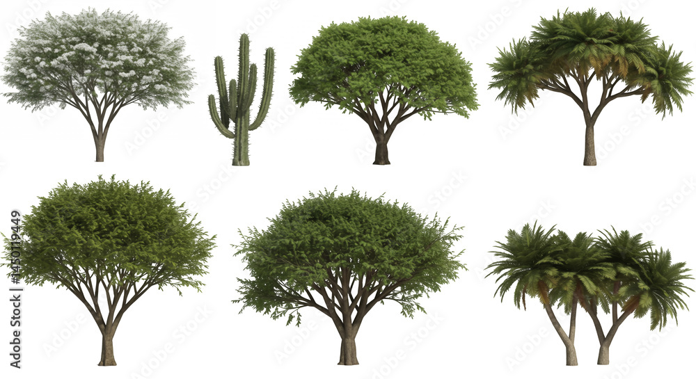 Aufkleber isolated assorted trees and cactus with green foliage on transparent background perfect for nature i
