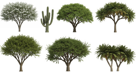 Isolated Assorted Trees and Cactus with Green Foliage on Transparent Background Perfect for Nature Illustrations and Landscape Design Elements