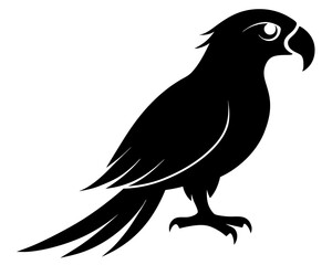Fototapeta premium Parrot Bird Vector Design – Tropical Parrot SVG File